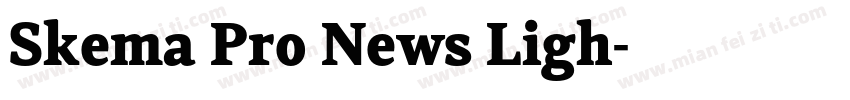 Skema Pro News Ligh字体转换